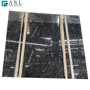 Losas de piedra de mármol fósil negro envejecido pulido natural con granos fósiles de caracoles marinos reales - Product Image 3