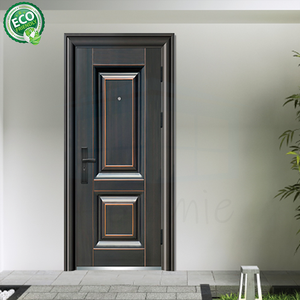 Fully Customized Modern Design Finished Steel Entrance <b>Doors</b> With Glass for House Front Meta <b>Door</b> - Product Image 4