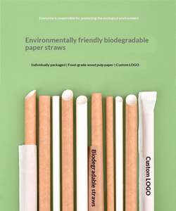 Pajitas de Papel Desechables Ecológicas, Biodegradables, Envueltas Individualmente, Anchas, para Té con Leche, con Logotipo Personalizado, para Picnic, 25 Sets - Product Image 4