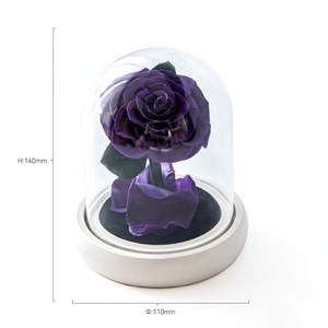 Scatola Regalo Fiore Eterno del Piccolo <span class=keywords><strong>Principe</strong></span>, Fiore Essiccato con Copertura in Acrilico/Vetro, 1 Stelo - Product Image 1