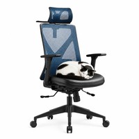 Fauteuil de Direction Ergonomique à Dossier Haut en Maille, Design Moderne, Roulettes, Dossier Moyen