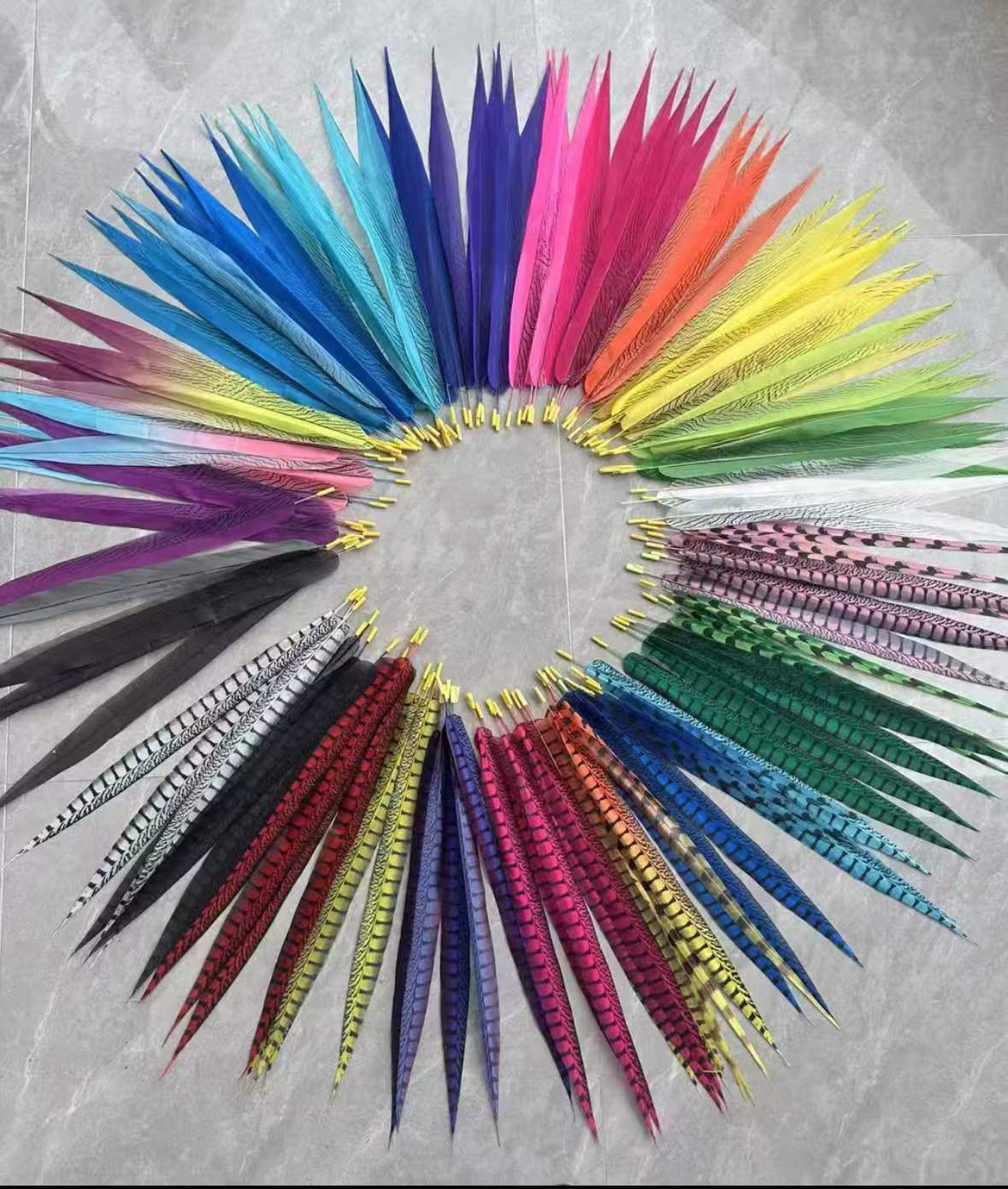 Choisir la couleur