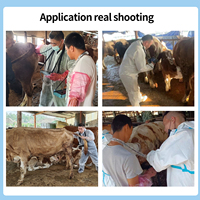 Machine d'essai de grossesse animale d'imagerie de haute qualité certifiée par ce prix de machine d'ultrason de bétail avec la sonde linéaire rectale