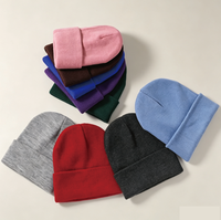 Produit tendance 2026, bonnets d'hiver classiques de haute qualité, broderie personnalisée du logo, bonnets en tricot, bonnet en tricot avec logo personnalisé