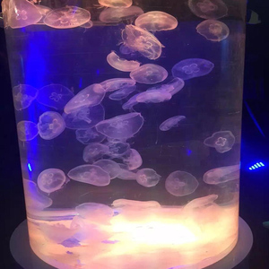 Coluna redonda de acrílico transparente comercial personalizada para aquário grande aquário - Product Image 2