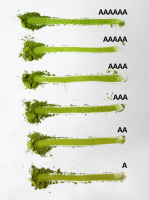 Poudre de Matcha Cérémonial Japonais Uji, Design Personnalisé du Sachet, Poudre de Matcha en Sachet Kraft pour Coffret Cadeau, Pack de Poudre de Matcha pour Célébrations