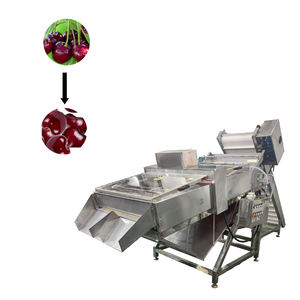 Máquina Profesional Comercial para Eliminar Tallos de Cereza, Desestamadora de Cereza a Bajo Precio - Product Image 1