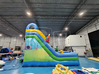 Videur gonflable commercial de terrain de jeu sautant de grandes glissières gonflables rebondissantes glissières gonflables de maison de rebond pour des enfants