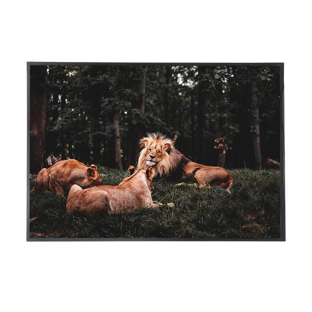 K&D 5.0 Inch 1000 cd/m² High Luminance TFT LCD 800x480 Anti Glare Surface 1000:1 LVDS 70% NTSC Lcd Module for Outdoor Industrial