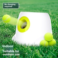 Lanceur automatique de balles de tennis pour chiens, jouet interactif pour animaux de compagnie, aide à soulager l'ennui et à consommer de l'énergie pour les Border Collie