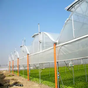 Skyplant बहु-काल प्लास्टिक फिल्म हाइड्रोपोनिक प्रणाली के लिए ग्रीनहाउस सब्जियों