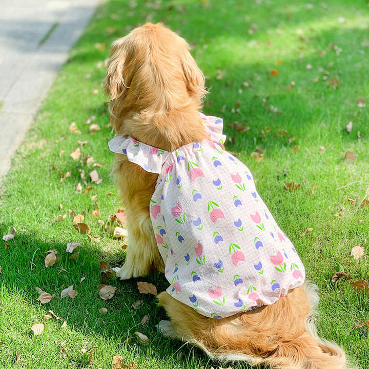 dress for big dogs Golden Bloom Dog Princess  Floral Party Dress a nod to Cinderellas famous glass slipper Large Dog Thin Summer Princess