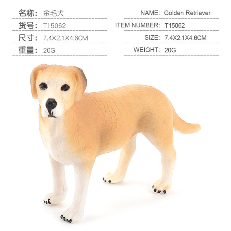 coloré PL127-1369 Golden Retriever 20g