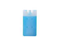 Offre Spéciale Logo personnalisé imprimé de qualité alimentaire réutilisable chaud froid gel pack glace glacière brique