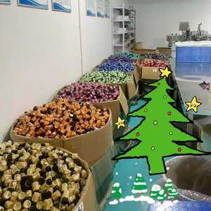 65 Colori di Pigmenti in Polvere di Titanio Non Tossici, Perlescenti e Colorati per Cosmetici, Resina Epossidica, Lucidalabbra, Prodotti Mica - Product Image 1