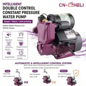 Bomba de Agua Autocebante Automática ZHELI WZB 220V 1HP para Ducha de Apartamento y Hogar con Baja Presión, Certificación CE - Product Image 1