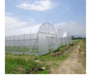 Serre en verre multi-voûtes, système professionnel de culture de fleurs et de légumes, modèle de serre pour l'agriculture et l'horticulture - Product Image 6