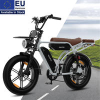 Vélo électrique M9 style rétro 250W 48V 35Ah double batterie autonomie 130km freins à disque hydrauliques alarme antivol Ebike