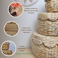 Panier en rotin Boîtes décoratives, Boîte de rangement tissée Panier en jacinthe avec couvercles, Petit panier en osier à bord festonné avec couvercle
