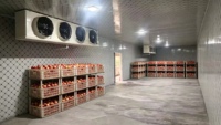 Chambres Froides à Température Positive ou Négative / Petite Chambre Froide Chinoise