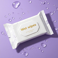 Lingettes humides Sac plat en plastique Pochette pour lingettes Vente en gros Logo personnalisé Sac d'emballage pour lingettes humides pour le nettoyage du visage de bébé avec couvercle