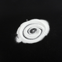 Adhésif thermofusible DTF en poudre blanche de 1 kg, directement de l'usine, pour transfert thermique DTF