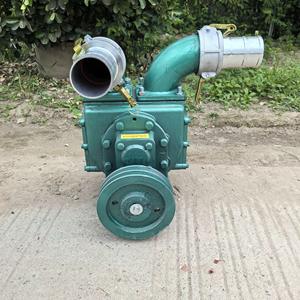 सीवेज पंप सक्शन गियर सीवेज पंप पोल्ट्री फार्म पशु सुअर खाद पंप गाय खाद पंप गाय खाद पंप - Product Image 4