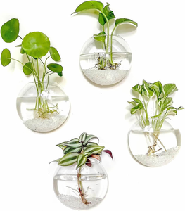 <span class=keywords><strong>Vase</strong></span> Mural en Verre Créatif pour Plantes Hydroponiques – Décoration Intérieure - Product Image 5