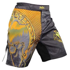 2025 Aangepaste Hoge Kwaliteit 4-Way Stretch Bjj Shorts Voor Heren <span class=keywords><strong>High</strong></span>-Performance Mma Boxing Worsteltraining Uitgerust Voor Muay Thai - Product Image 4
