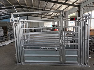Galvanized <strong>Cattle</strong> <strong>Crush</strong> with Scales - Product Image 2