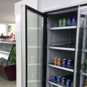 China Supplier Glass Door Equipment Cold Storage Refrigerator With Ce BR60CP-76 Refrigerator BR60CP-76 BR60CP-76 - Product Image 6