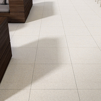 Carreaux de porcelaine antidérapants et résistants à l'usure pour sols et escaliers, 15, 18, 20 mm, 60x60 cm, finition mate moderne, pour extérieur, vente en gros