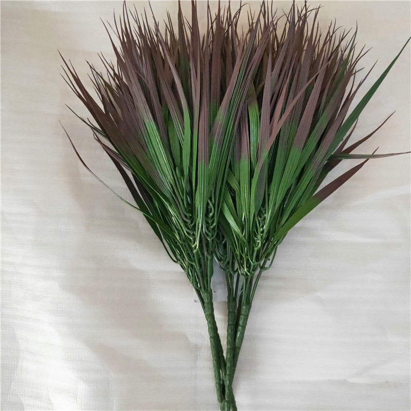32cm onion grass coffee green