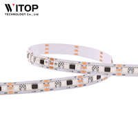 Bande LED étanche en cuivre WITOP Pixel Light WS2811 SMD5050 RGB IP67 48 LED/m adressable 12V avec télécommande pour aménagement paysager 5M