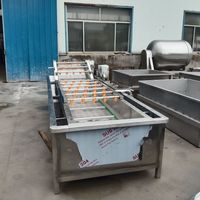 Bubble Vegetable Cleaner Zachte reiniging Geen schade aan fruitpulp Voedselverwerkingsmachine Commercieel 304 roestvrij staal