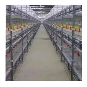 Cages extérieures de bonne qualité pour la ponte cage à poules d'intérieur bon marché en Chine