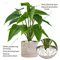 Tanaman Calathea Hijau Buatan 40cm, Daun Berbentuk Hati dari Kertas, Urat Realistis, Pot Tekstur Batu, Kerikil Putih, Custom OEM untuk Rumah