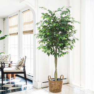 Nhân Tạo Lớn Ficus Cây 6ft Sàn Chậu Trang Trí Nội Thất Thực Tế <span class=keywords><strong>Banyan</strong></span> Cây Với Lụa Lá Cho Trong Nhà Nhà Văn Phòng Phòng Sảnh Trang Trí Nội Thất - Product Image 1