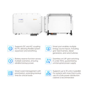 सोलिइस हाई वोल्टेज हाइब्रिड इनवर्टर्स 80kw 100kw 125kw तीन फेज इन्वर्टर - Product Image 3
