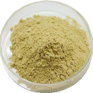 高品质 Barberry 根提取物粉末小berber小檗小檗碱 60% uv