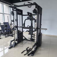 Machine de musculation multifonctionnelle Meridian LLQX 075 pour la maison, équipement d'entraînement de force pour un entraînement complet du corps