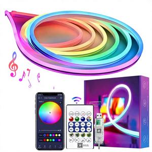 Tira de Luz LED RGB de Neón Flexible de PVC, Impermeable IP65, USB 5V - Product Image 1