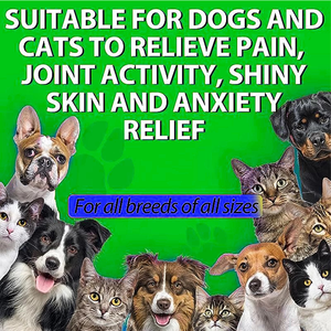 Fábrica Lote Hemp <span class=keywords><strong>Oil</strong></span> Suporte Imunológico Líquido Gotas para Gatos e Cães-Organic Pet Health Supplement - Product Image 3