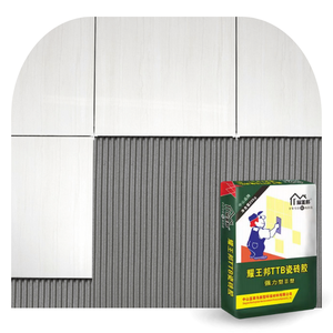 C2TES2 High-Flex Tile Glue-Résistant au gel et au sel pour carrelage extérieur en granit/marbre - Product Image 1