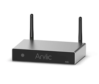 A30+ Ev Sinema Sistemi USB/WiFi Kablosuz Kayıpsız Ses Sistemi Dijital Stereo Alıcı 30W 2CH Güç Amplifikatörü