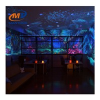 Projecteur hologramme immersif pour restaurant hôtel 3D mapping projecteur de projection immersif pour l'éducation