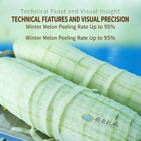 Éplucheuse industrielle horizontale automatique pour melon d'hiver et courge, machine à éplucher les légumes à grande échelle 3-4T/H