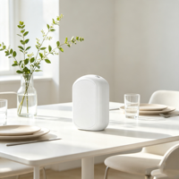 Diffuseur d'arômes d'huiles essentielles sans eau, écologique, en plastique, pour usage commercial, OEM