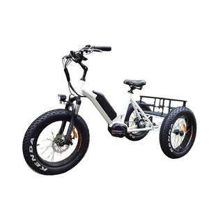 Moteur d'entraînement moyen contrôle intelligent tricycles électriques opération gros pneu 4.0 avec grand support en fer chargé pour la livraison - Product Image 1