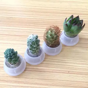 Solhui Promotion gift plant baby keychain/pet cactus keyring/christmas baby tree